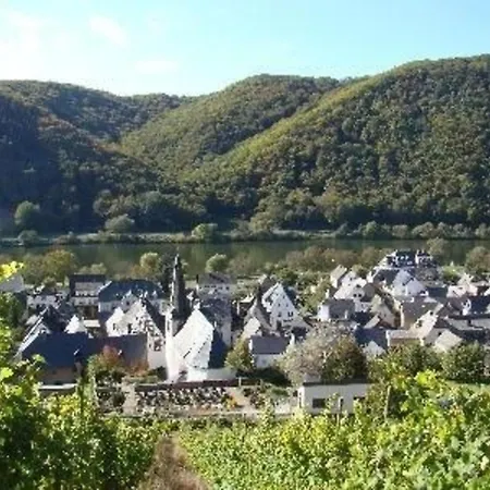 Altes Winzerhaus In 度假居 梅塞尼希