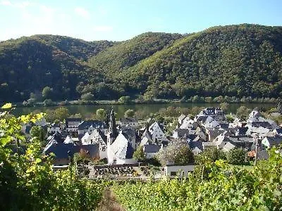 Altes Winzerhaus In Holiday home Mesenich
